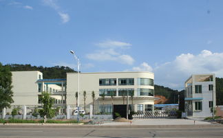 匠心獨(dú)運(yùn)，木藝生輝 探訪高要市白土鎮(zhèn)潤(rùn)和工藝品加工廠與鼎龍木業(yè)