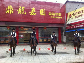 歡樂(lè)五一，來(lái)鼎龍嘉園免費(fèi)騎馬玩?。埬緲I(yè)邀您共度佳節(jié)